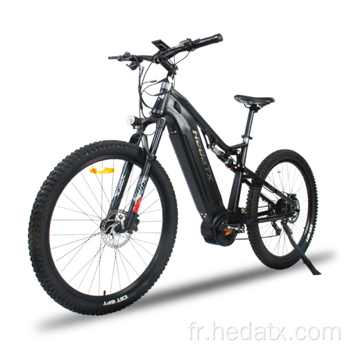 Vélo de montagne Aldult Electric